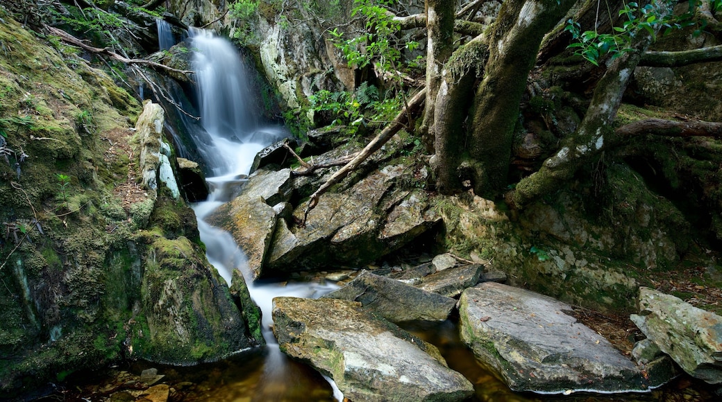 Cradle Mountain