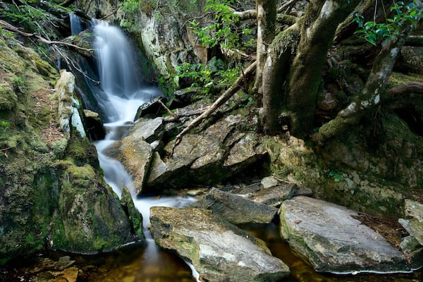 Cradle Mountain