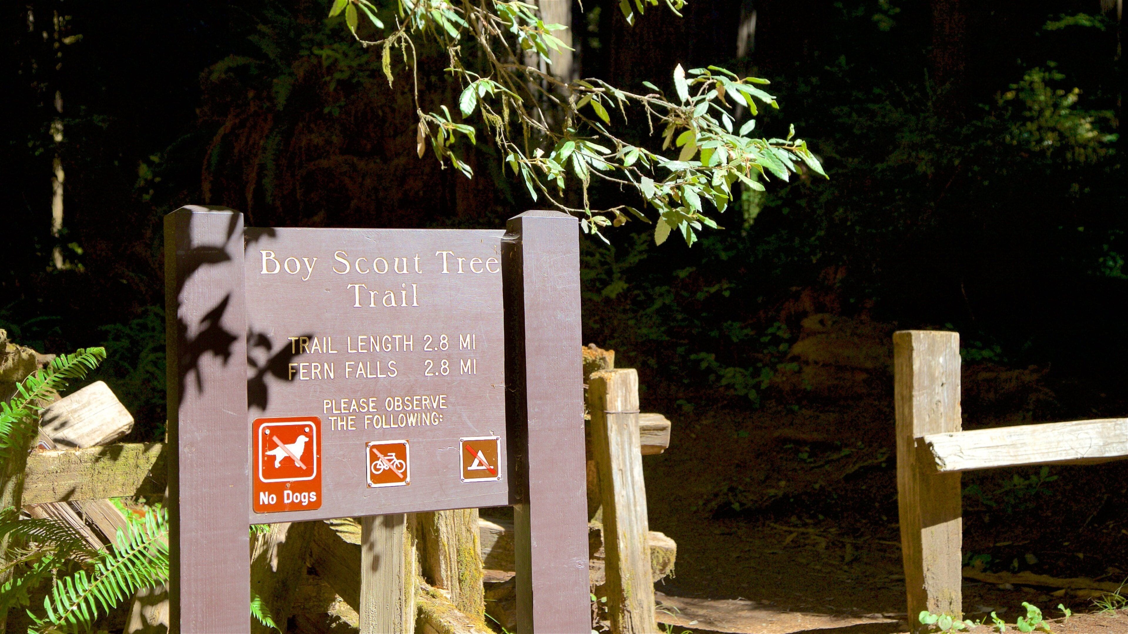 Skilt for Boy Scout Trail, 2,8 miles til Fern Falls.