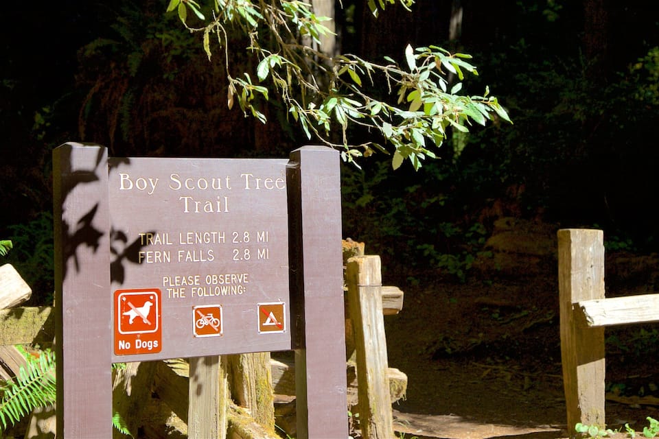 Skilt for Boy Scout Trail, 2,8 miles til Fern Falls.