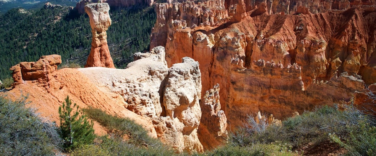 Bryce Canyon National Park mostrando escenas tranquilas, vistas al desierto y un barranco o cañón