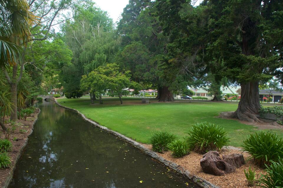 A serene park with a pond, lush greenery, and large trees.