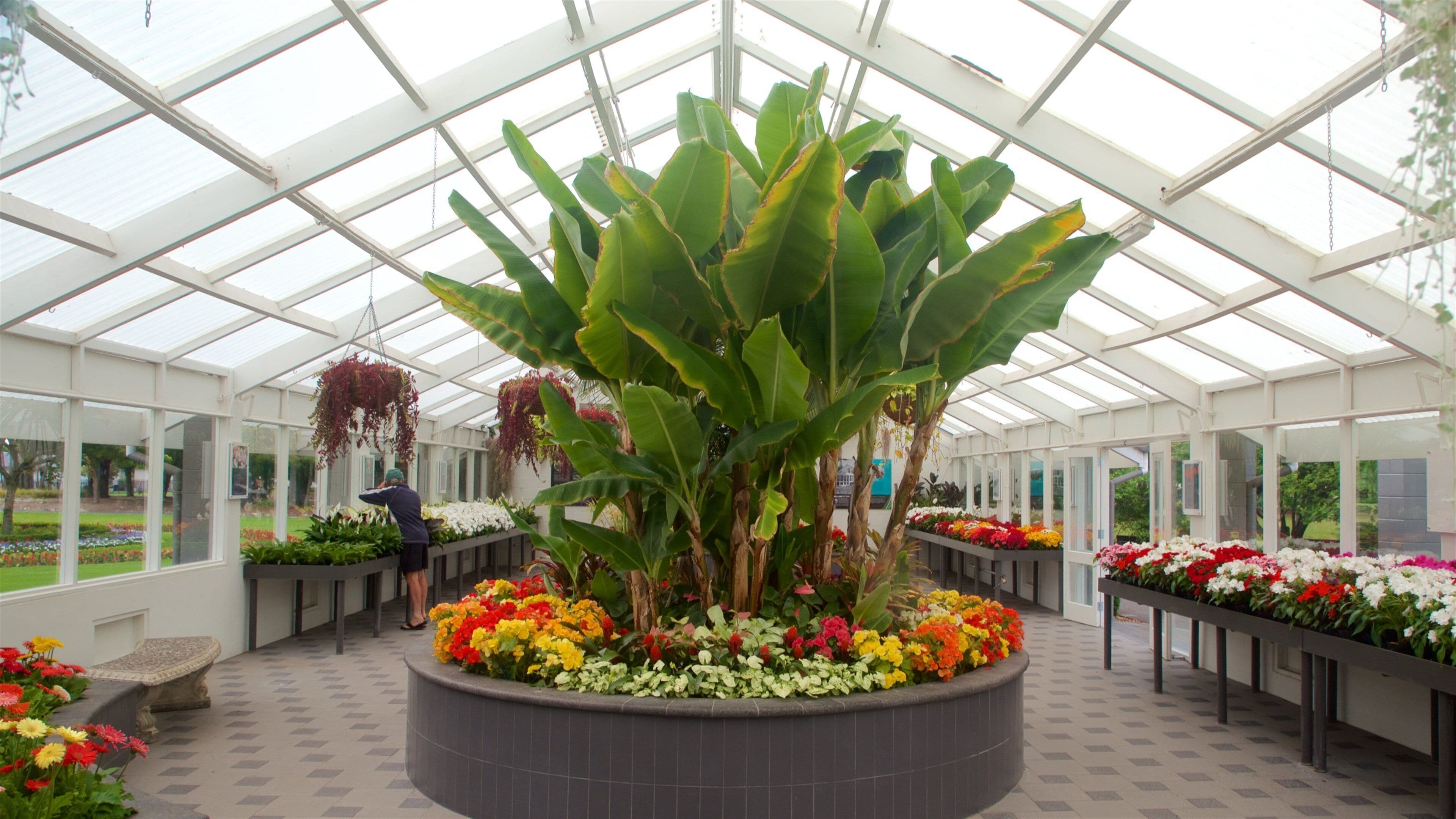 헤이스팅스 을 특징 실내 전경, 꽃 과 정원