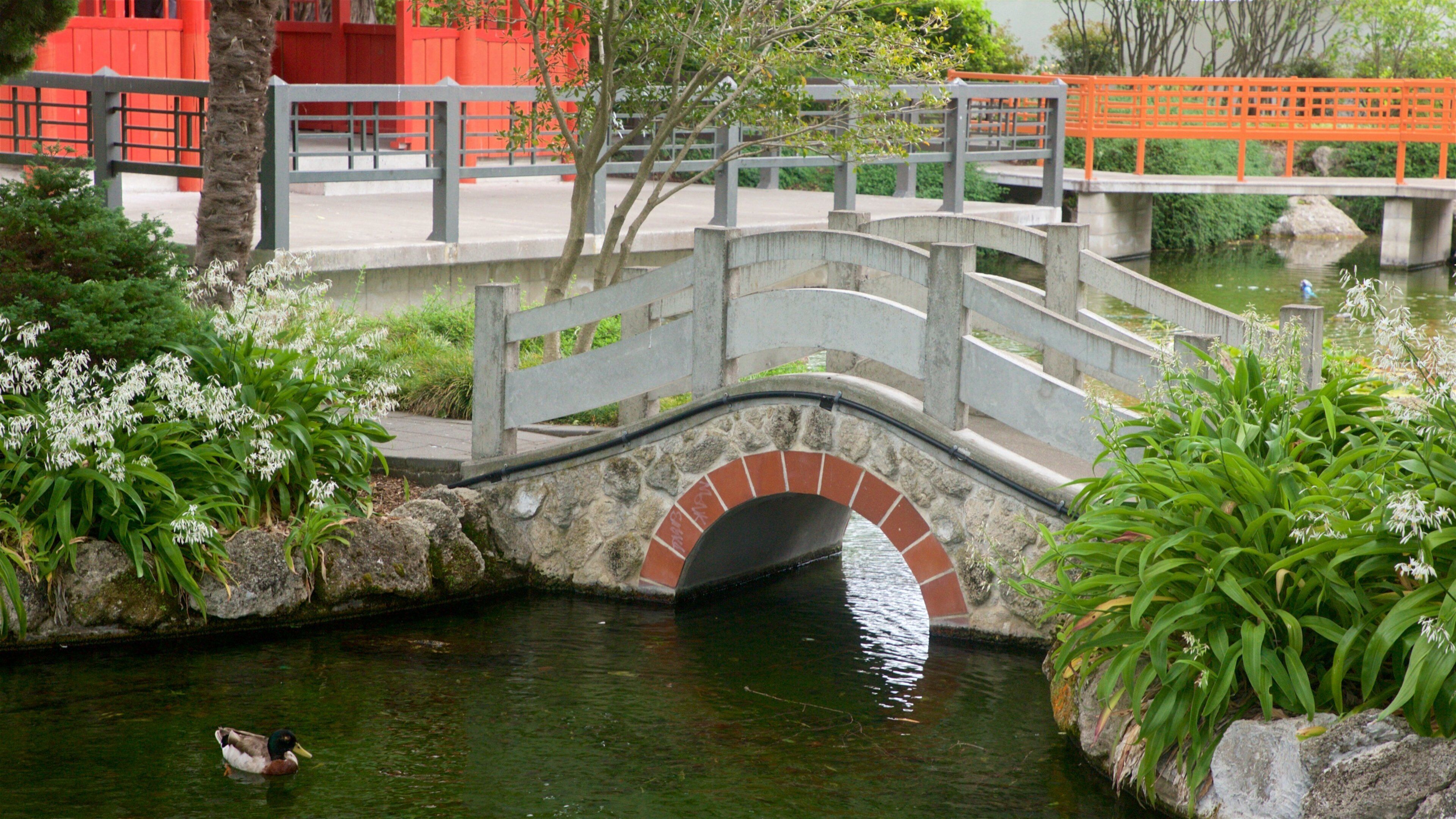 Hastings ofreciendo un río o arroyo, vida de las aves y un puente