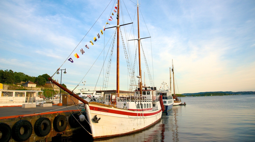 Oslo mostrando uma marina e paisagens litorĂąneas