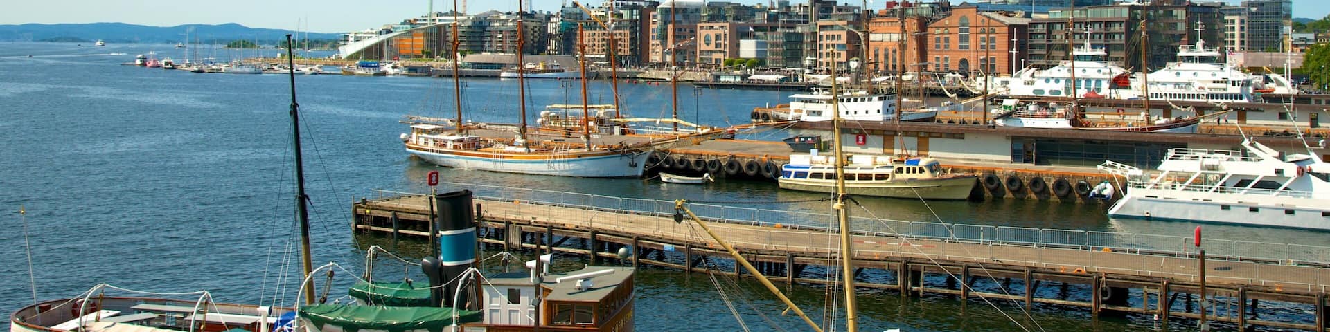 A harbor with various boats docked, a city skyline in the background, and a clear blue sky.