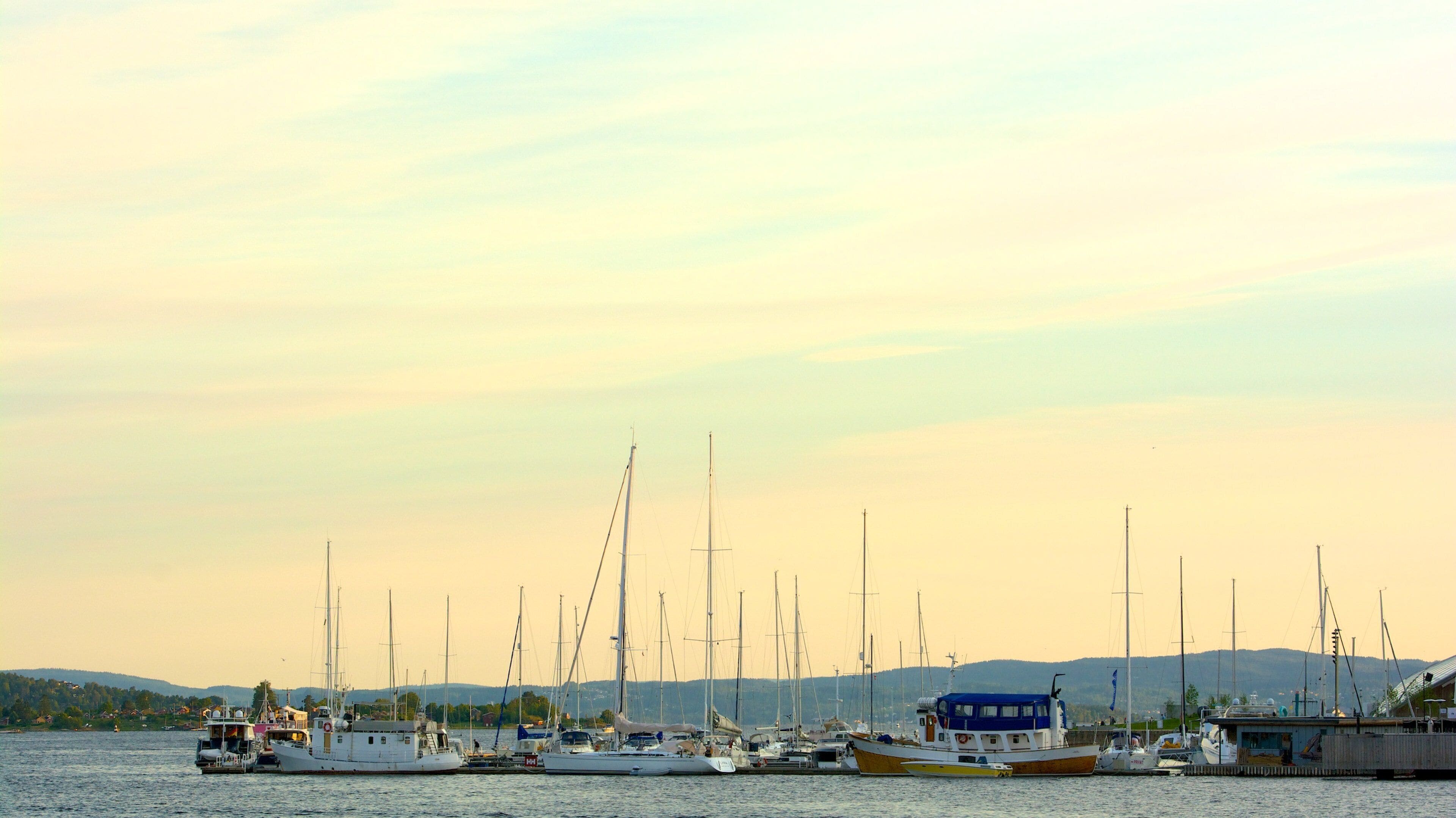 Oslo som omfatter en bugt eller havn og en solnedgang