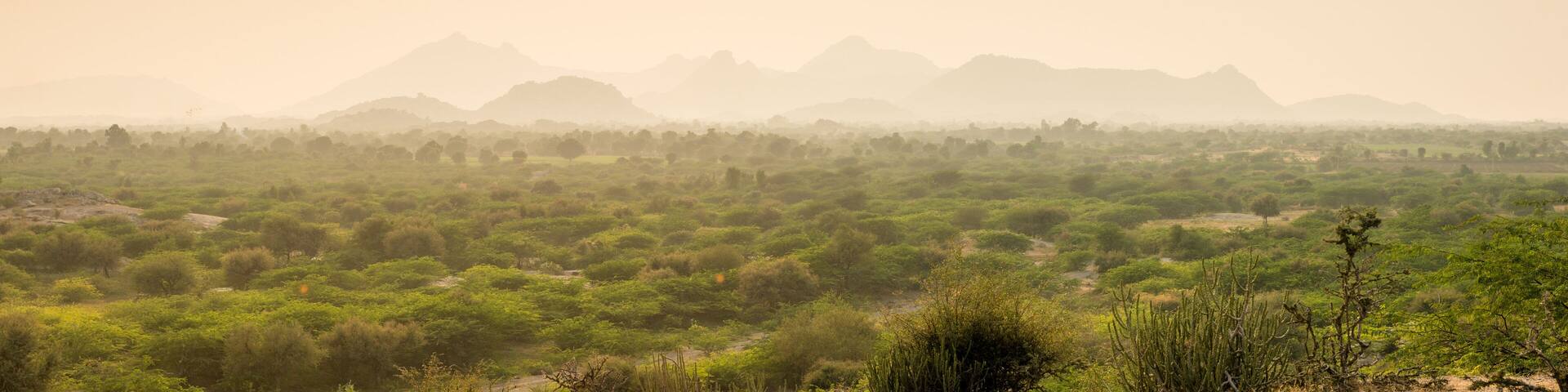 Landscape near Jawai, Rajasthan