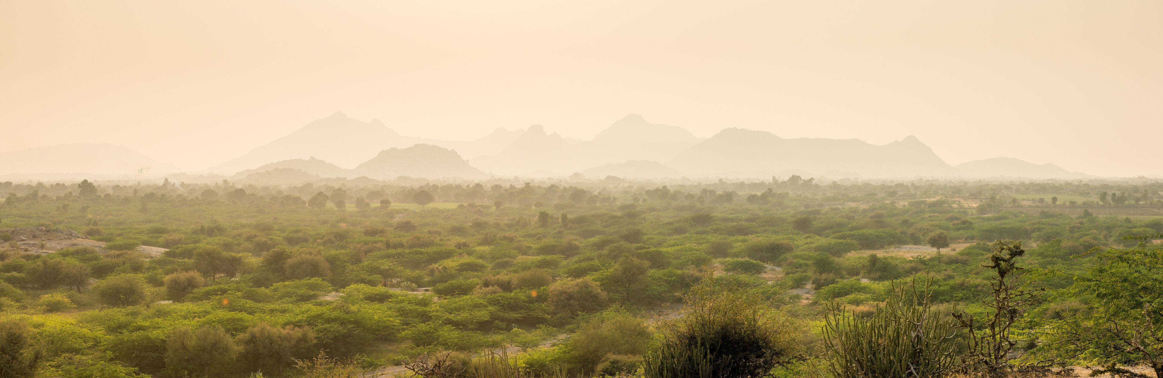 A vast savanna landscape with scattered trees and distant mountains.