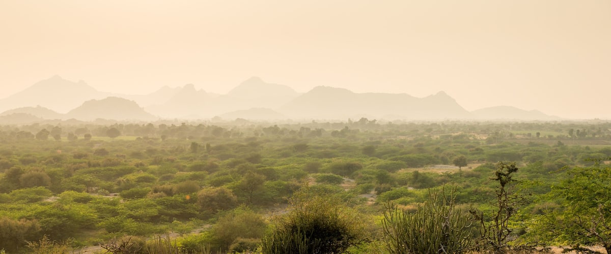 A vast savanna landscape with scattered trees and distant mountains.