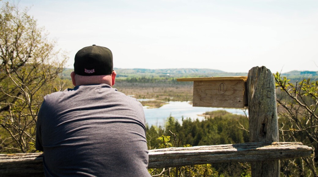 Windy Ridge look out point. Short walk from the parking lot (if you start the path on the east side)