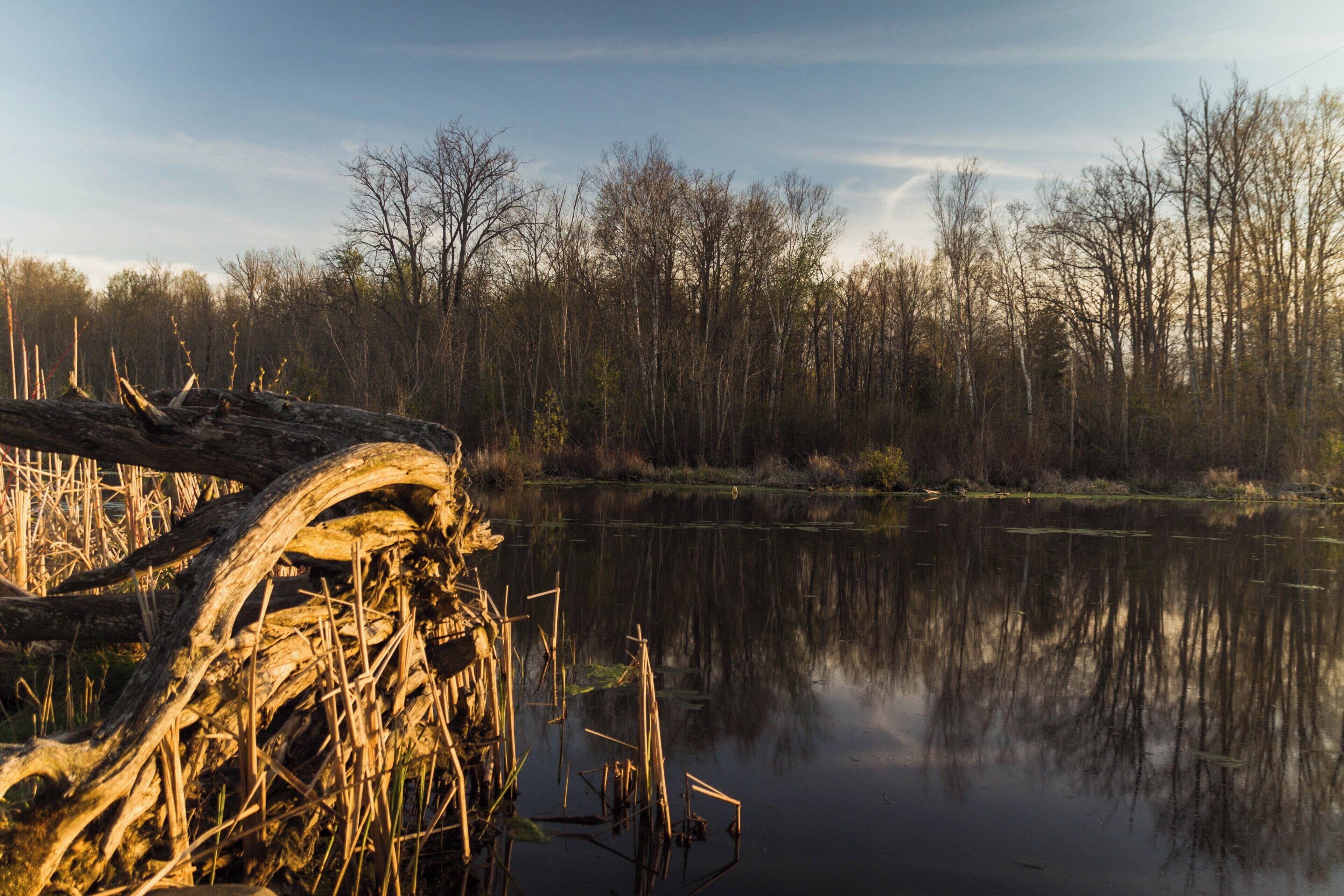 Windy Ridge, just off of Highway 7