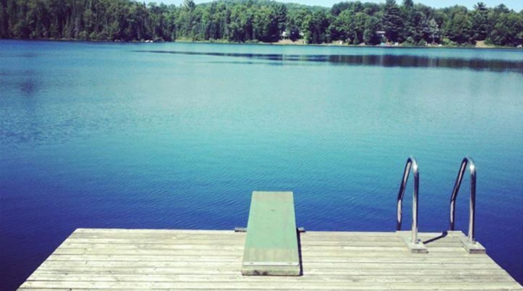 Getting ready to jump in on a hot summer day