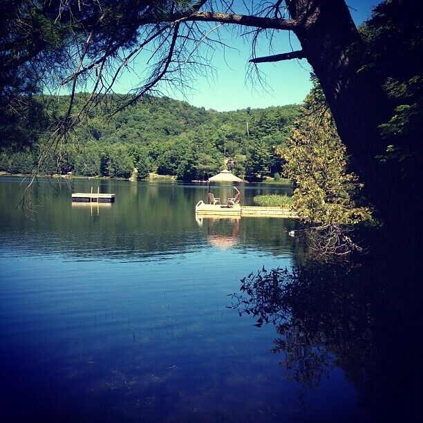 Enjoying a beautiful summer day at the cottage in the Kawartha lakes.  The water looks good enough to jump into right now.