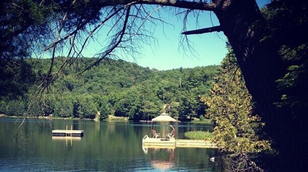 Enjoying a beautiful summer day at the cottage in the Kawartha lakes. The water looks good enough to jump into right now.