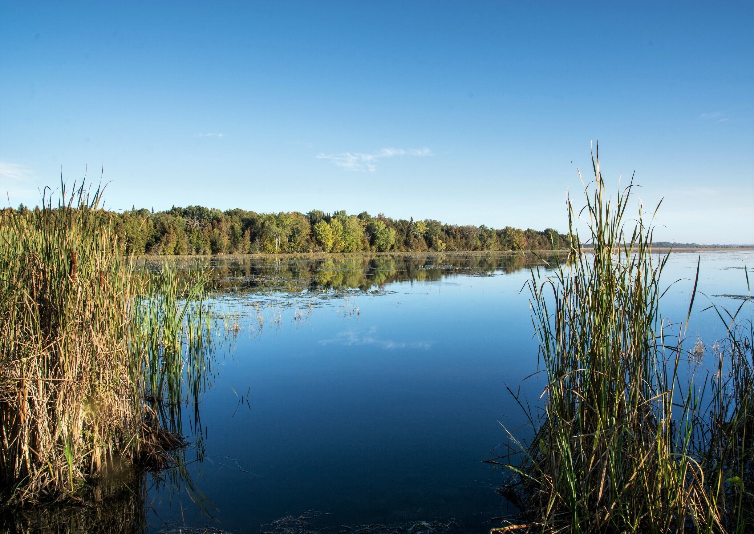 I grew up here and discovered hiking