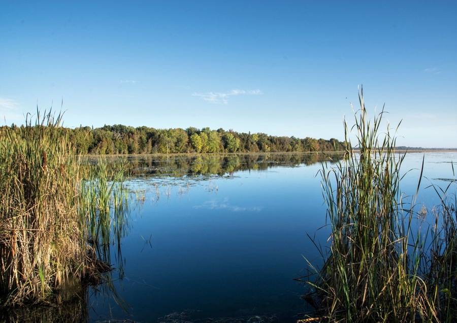 I grew up here and discovered hiking