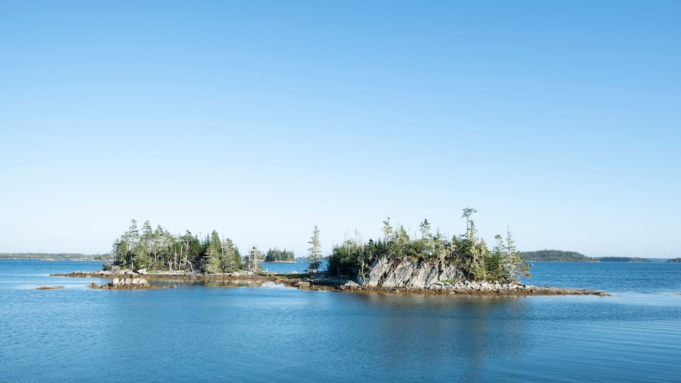 A calm lake with a small island covered in trees.