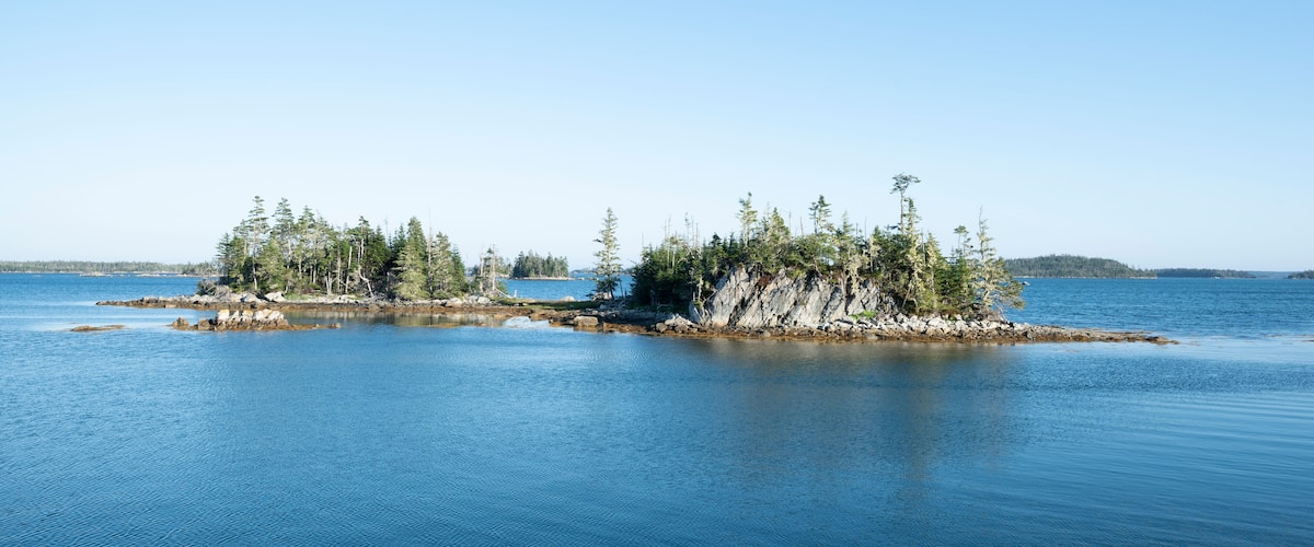 A calm lake with a small island covered in trees.