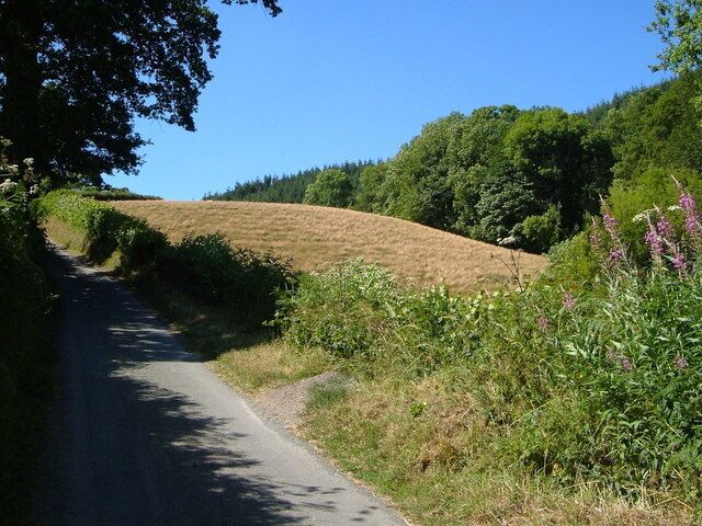 Lane beside valley of Nant Llys. The stream is below the trees to the right of the field. The lane is climbing from Penllys towards Plas Onn.