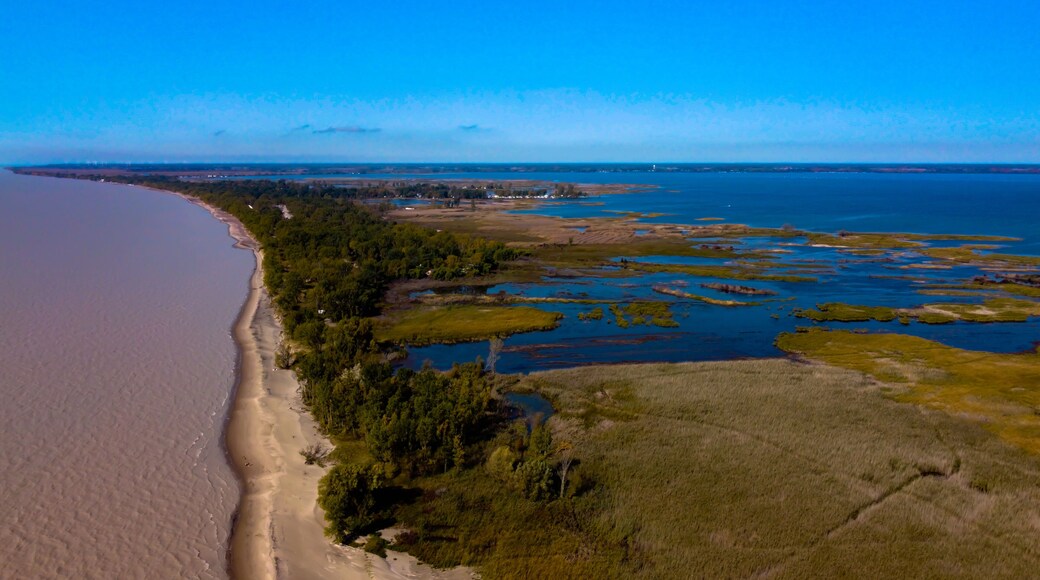 Long Point