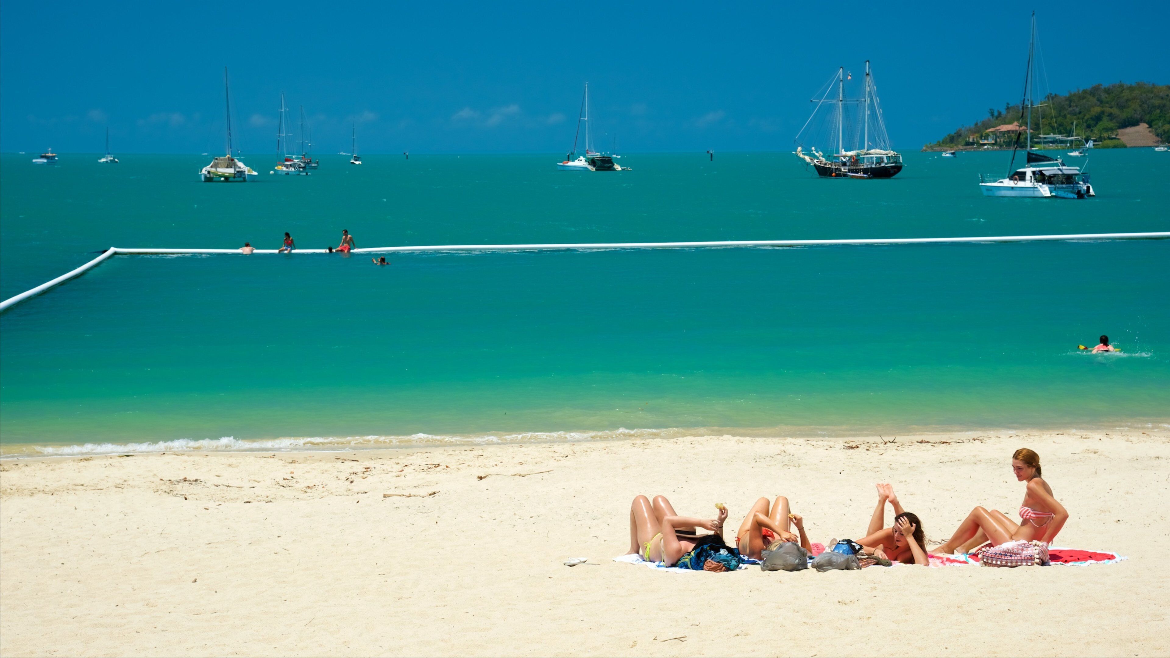Airlie Beach showing swimming and a beach as well as a small group of people