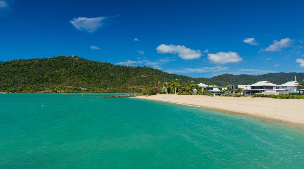 Boathaven Beach featuring general coastal views and a beach