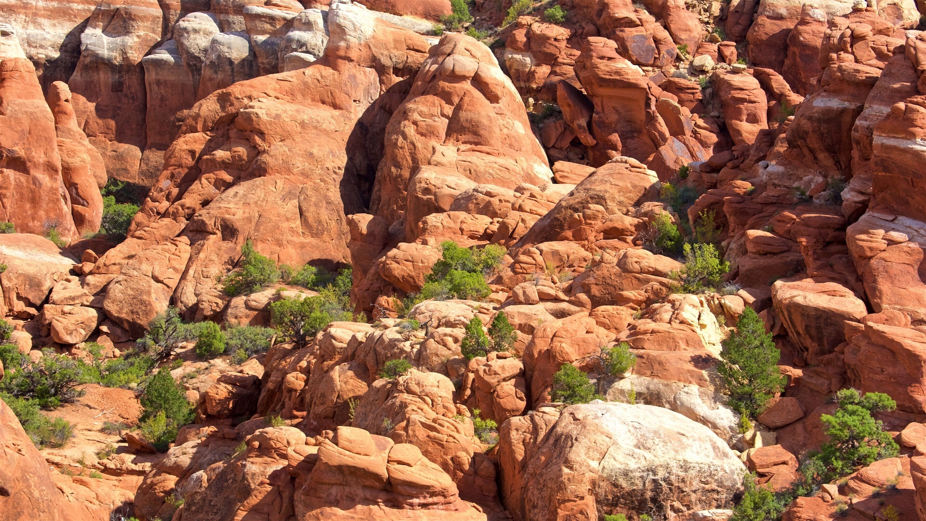 Fiery Furnace Viewpoint