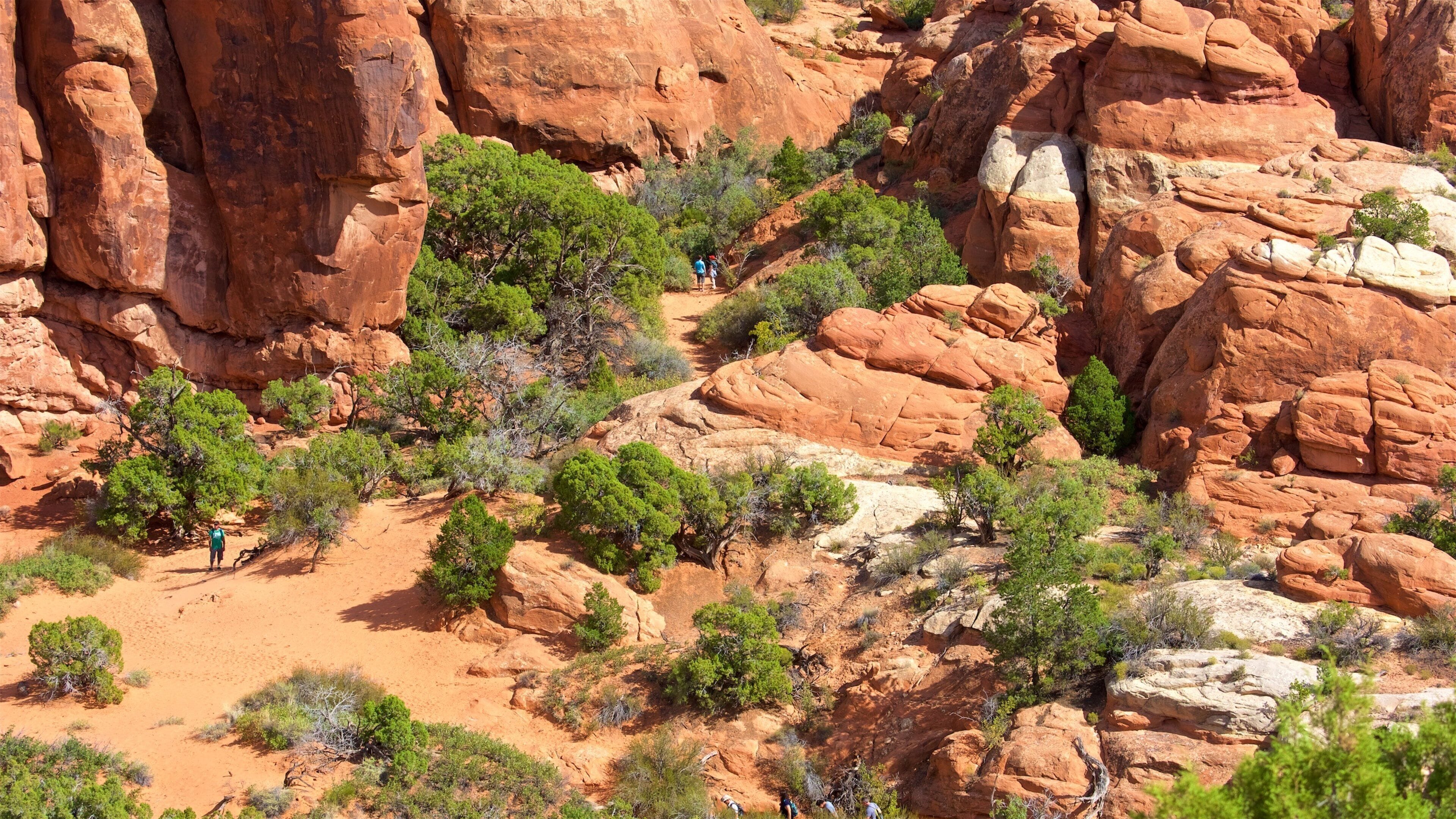 Fiery Furnace Viewpoint