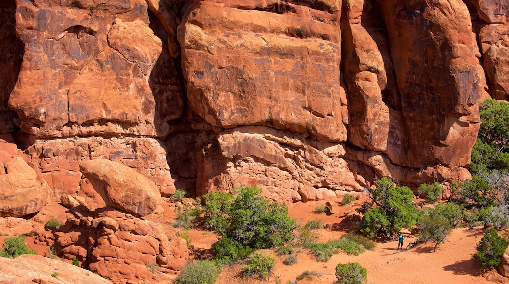 Fiery Furnace Viewpoint