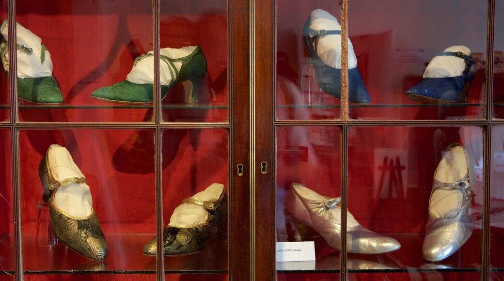 Budleigh Salterton mostrando vistas de interior