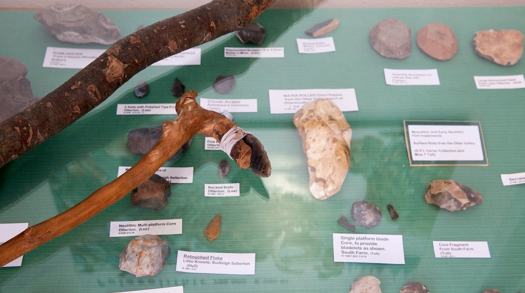 Budleigh Salterton som inkluderer innendørs