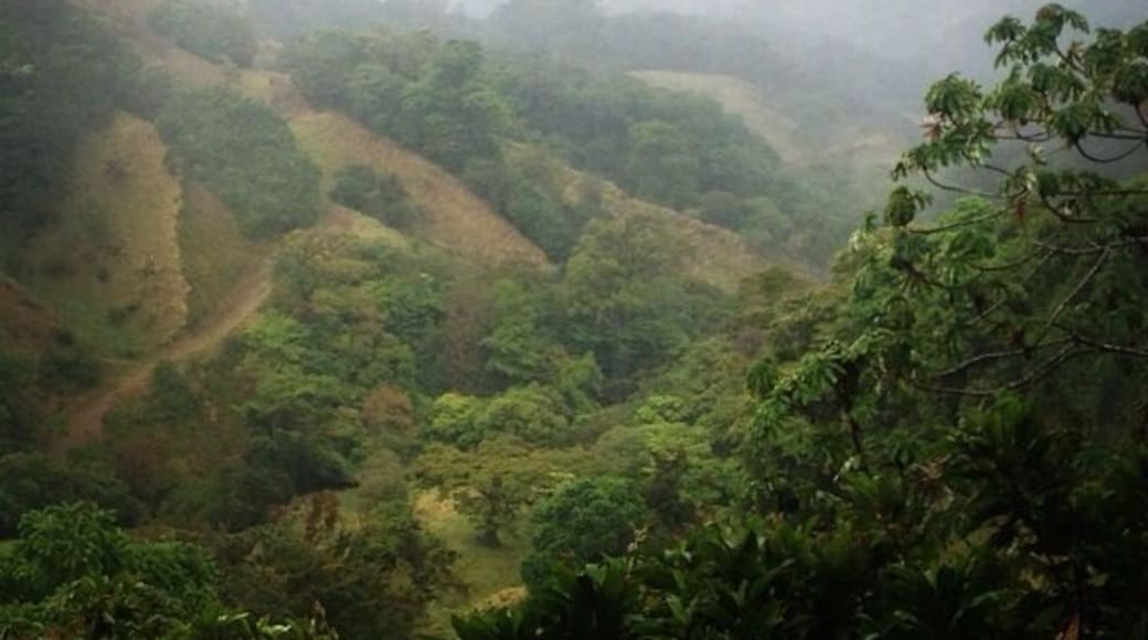 Amazing ziplines in Monteverde. And a beautiful rainbow high up in the mountains!