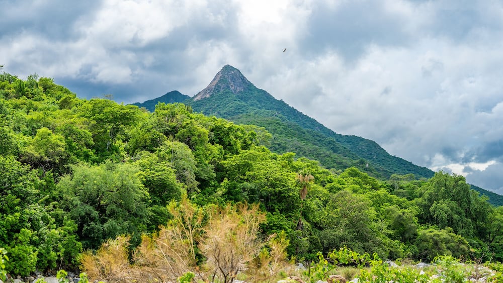 Une montagne verdoyante, couverte d’une forêt dense, sous un ciel nuageux.
