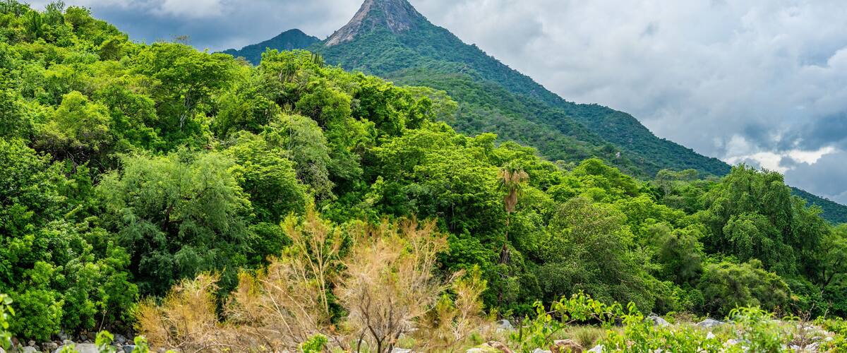 A lush green mountain with dense forest and a cloudy sky.