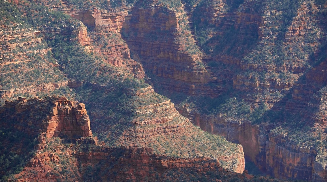 North Rim ofreciendo vistas de paisajes, un barranco o cañón y escenas tranquilas
