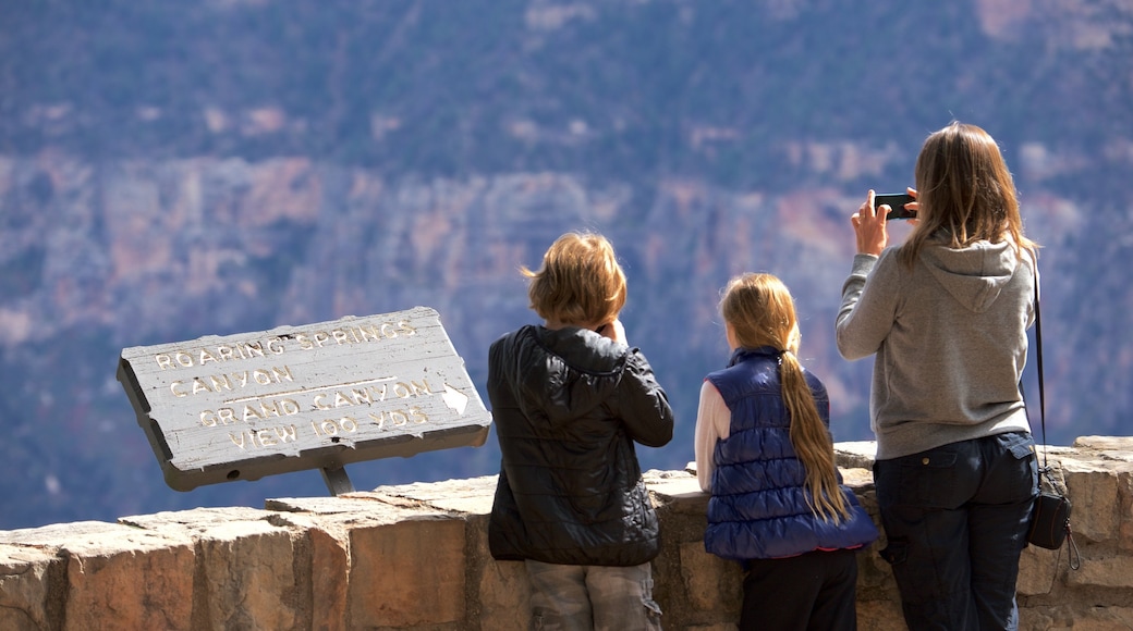 North Rim ofreciendo un barranco o cañón, escenas tranquilas y vistas al desierto