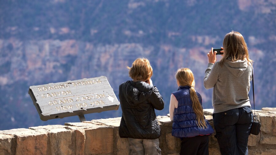 North Rim which includes a gorge or canyon, signage and desert views