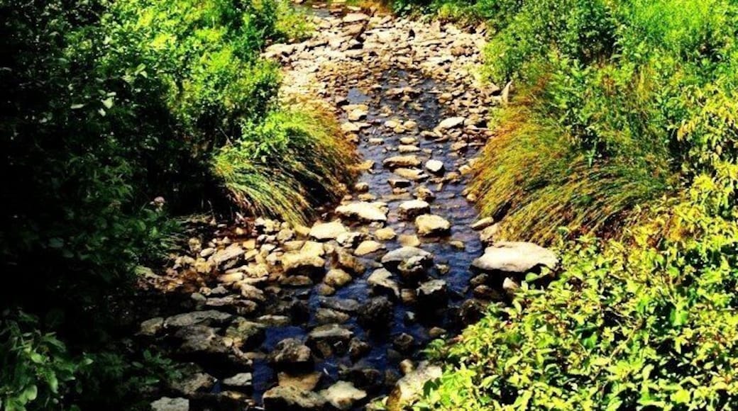 It's beautiful well reserved unfinished castle that people use for any event...