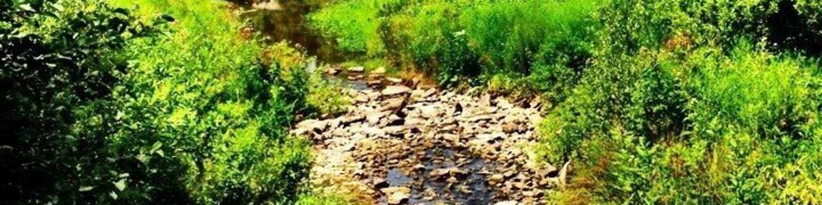 It's beautiful well reserved unfinished castle that people use for any event...