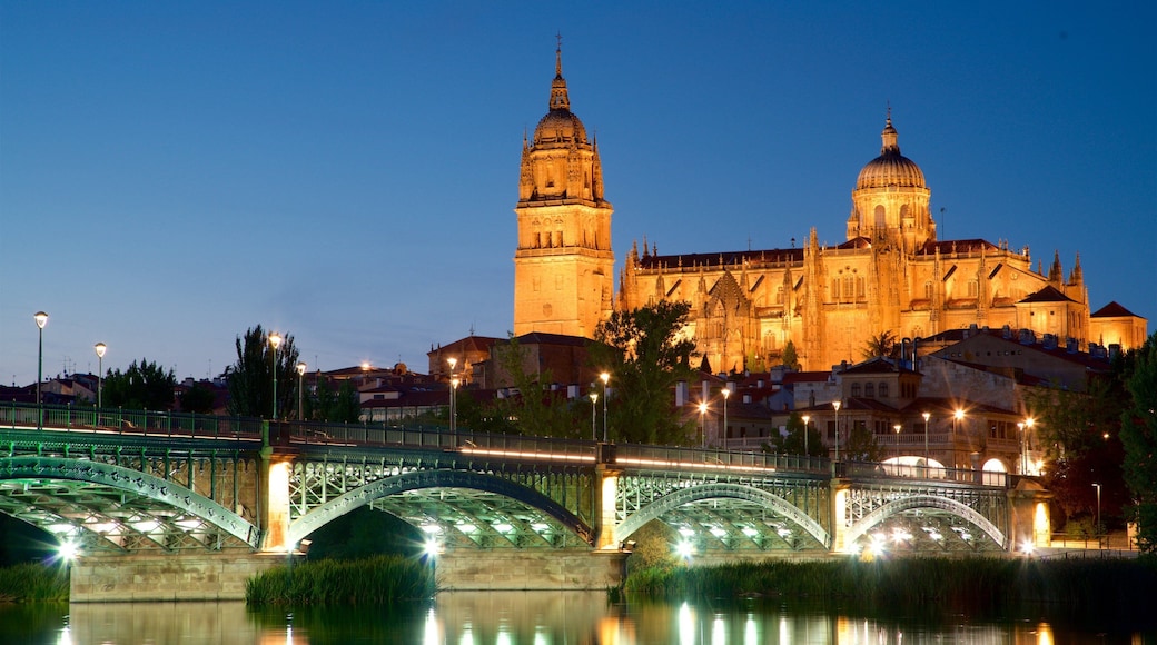 Enrique Estevan Bridge which includes night scenes, a bridge and a river or creek