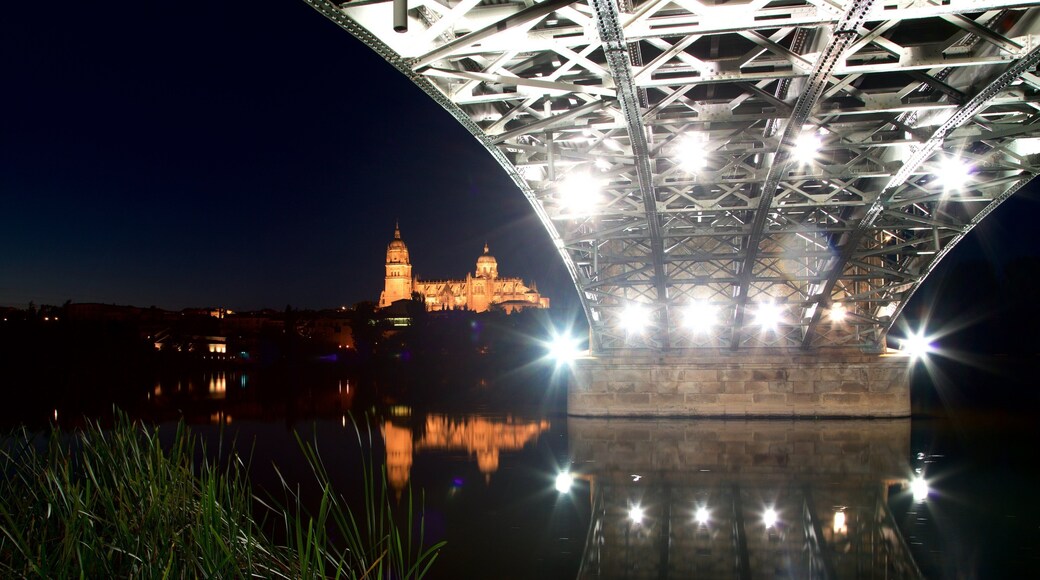 Enrique Estevan Bridge showing heritage architecture, night scenes and a bridge