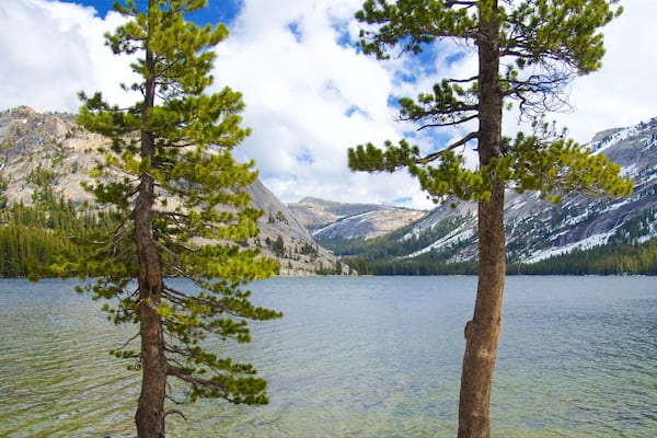 Un lac entouré de montagnes et de pins.