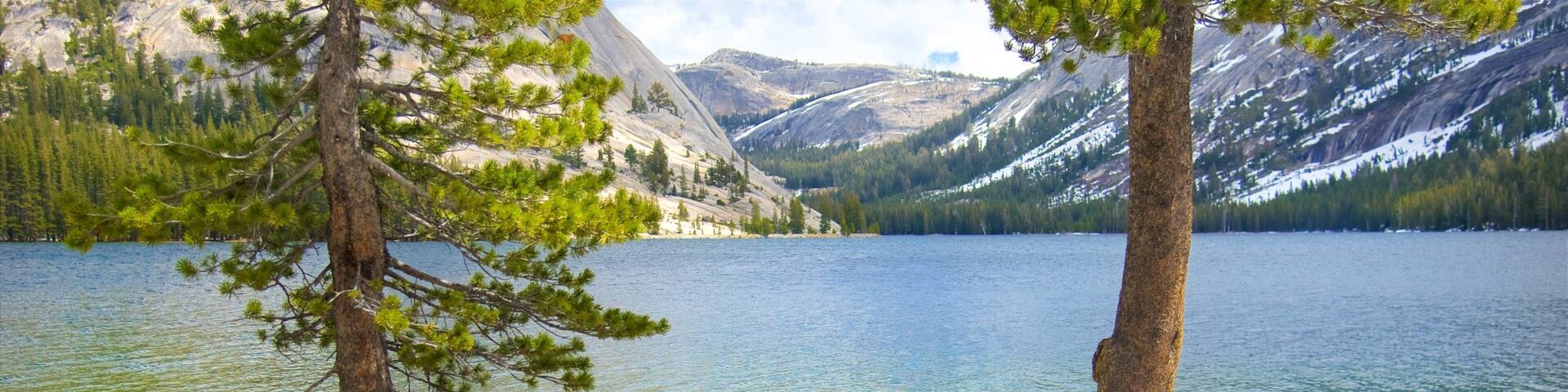Tenaya Lake