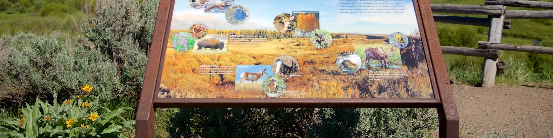 Grand Teton National Park featuring mountains, landscape views and tranquil scenes