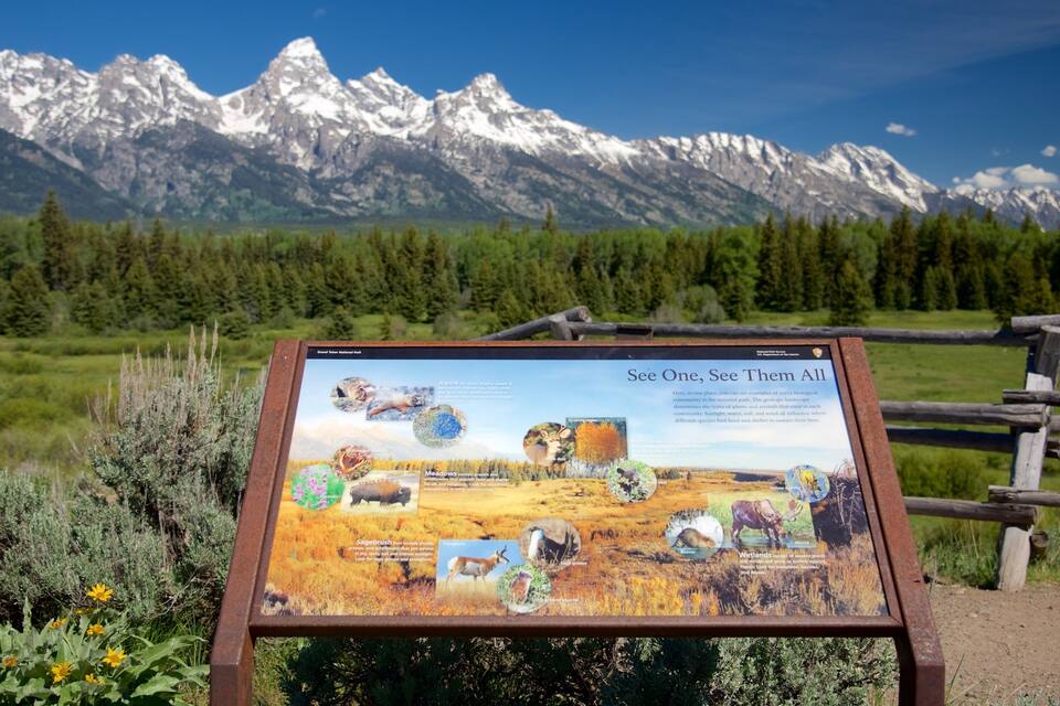 Un panneau d’information sur le parc national de Grand Teton, avec une chaîne de montagnes en arrière-plan.