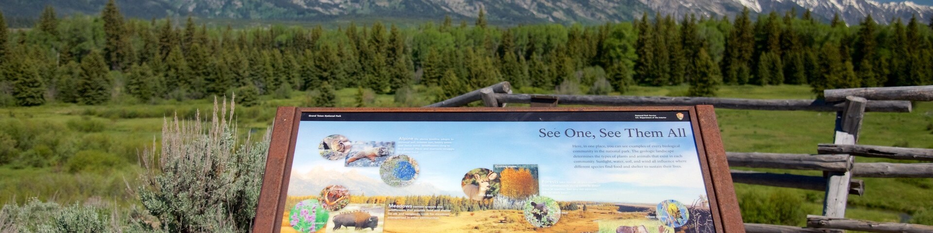 Grand Teton National Park featuring mountains, landscape views and tranquil scenes