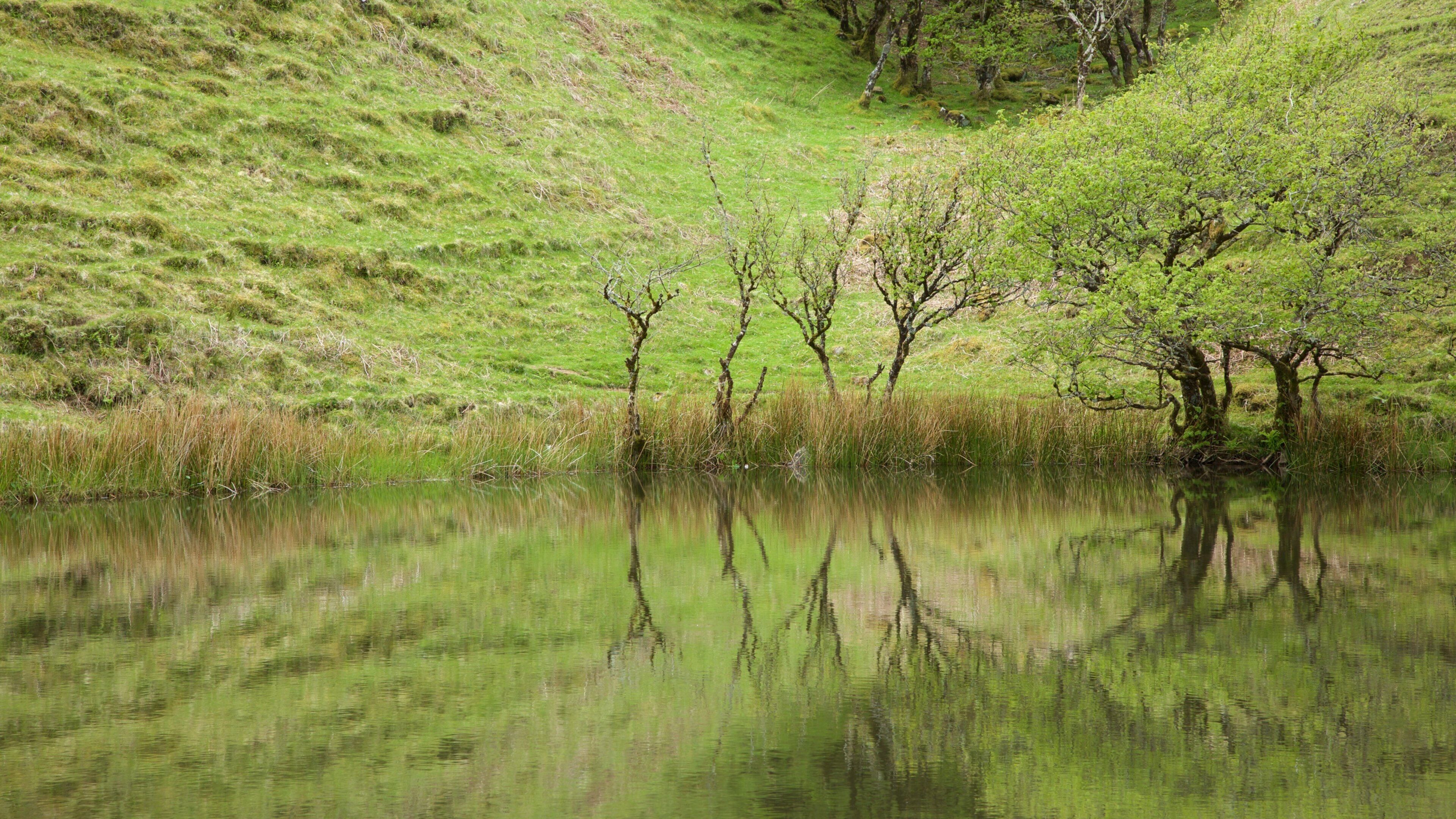 Isle of Skye showing a pond and tranquil scenes
