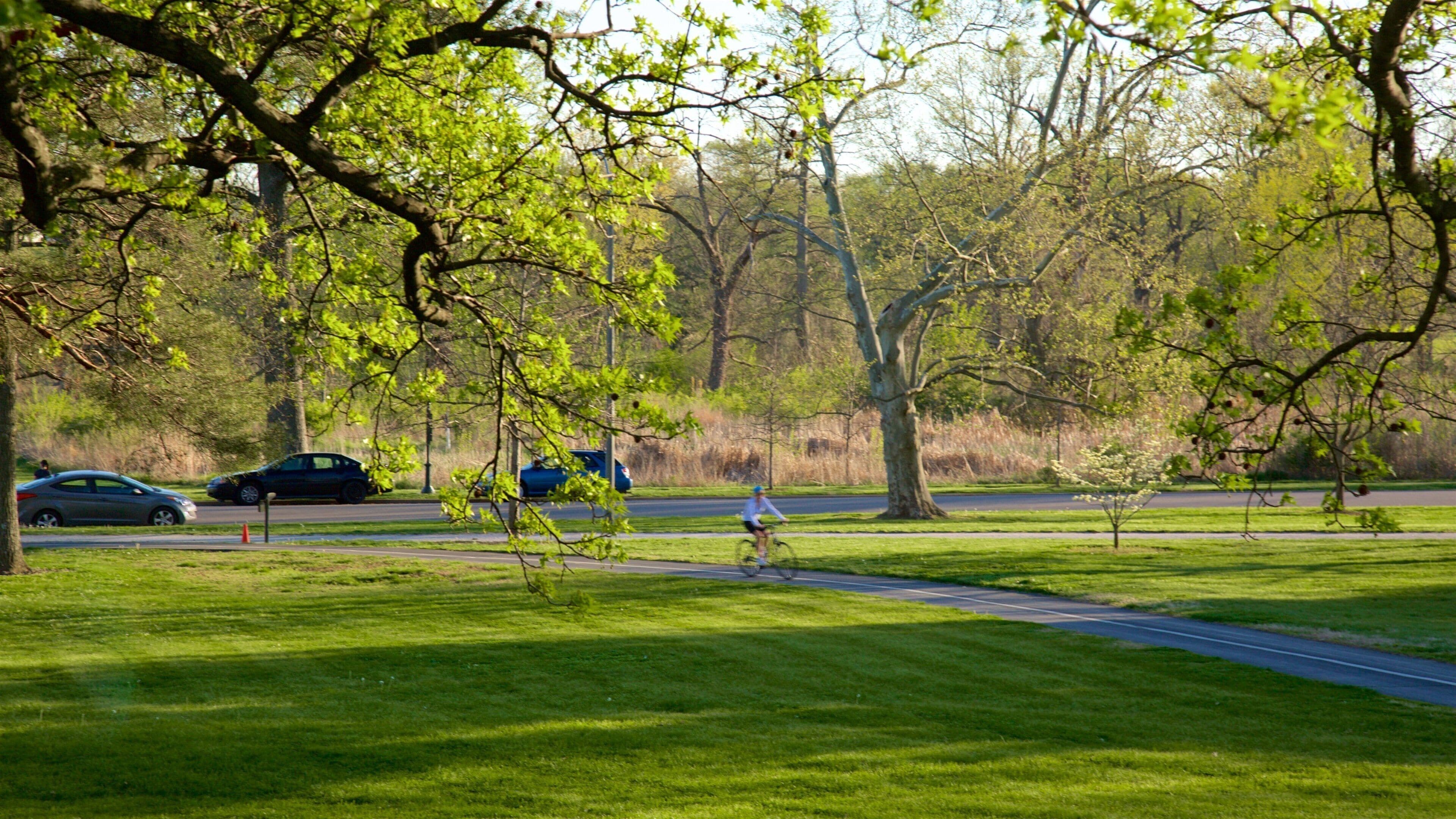 Cabanne House which includes a garden and cycling