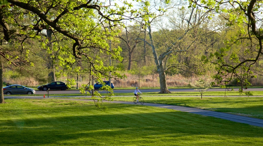 Cabanne House which includes a garden and cycling